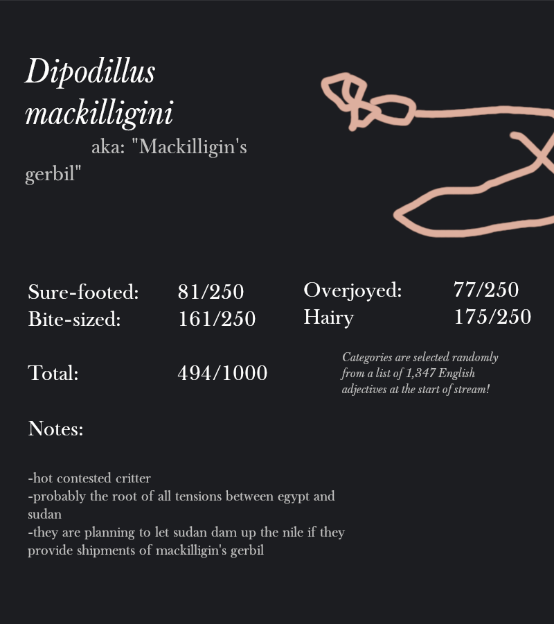 Dipodillus mackilligini